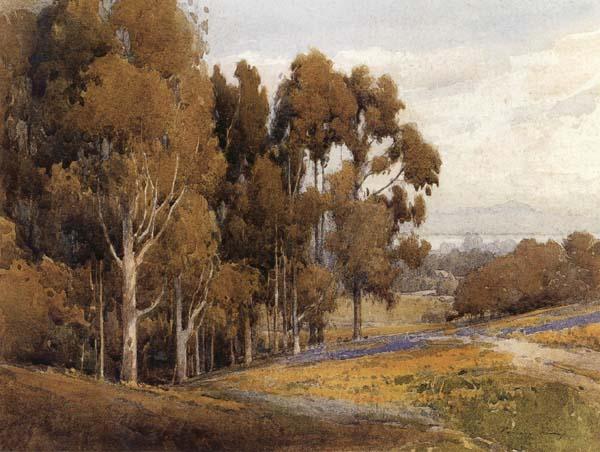 unknow artist A Grove of Eucalyptus in Spring